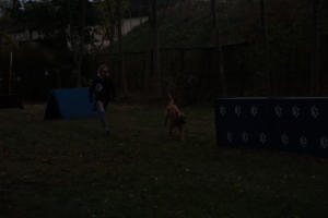 Fackelturnier 2018 - DSC00099