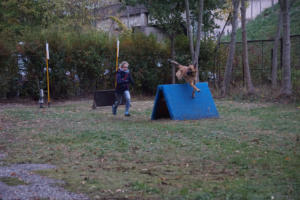 Fackelturnier 2018 - DSC00138