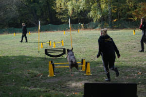 Fackelturnier 2018 - DSC09494