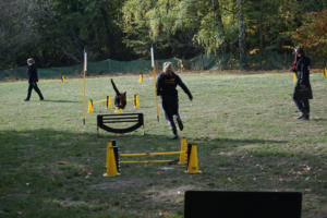 Fackelturnier 2018 - DSC09495