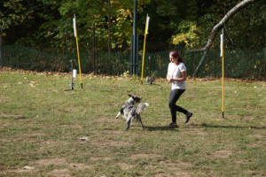Fackelturnier 2018 - DSC09512
