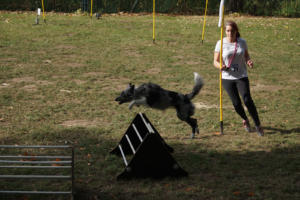 Fackelturnier 2018 - DSC09515