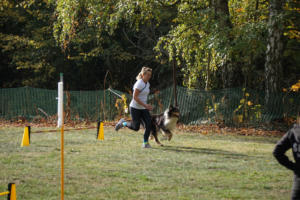Fackelturnier 2018 - DSC09526