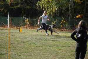 Fackelturnier 2018 - DSC09528