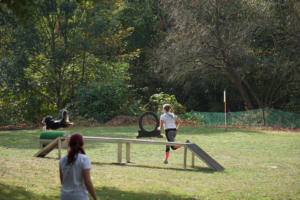 Fackelturnier 2018 - DSC09538