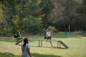 Fackelturnier 2018 - DSC09539