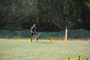 Fackelturnier 2018 - DSC09564