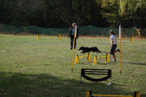 Fackelturnier 2018 - DSC09573