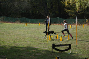 Fackelturnier 2018 - DSC09574