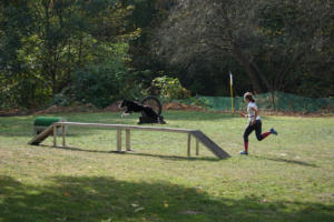 Fackelturnier 2018 - DSC09575