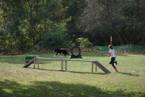 Fackelturnier 2018 - DSC09576