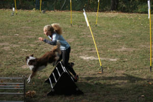 Fackelturnier 2018 - DSC09587