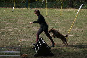 Fackelturnier 2018 - DSC09614