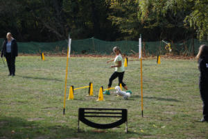 Fackelturnier 2018 - DSC09623