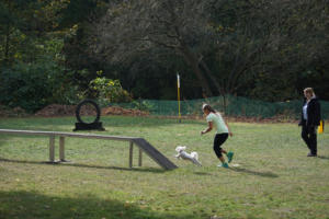 Fackelturnier 2018 - DSC09625