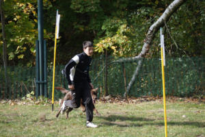 Fackelturnier 2018 - DSC09626