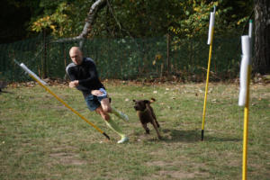 Fackelturnier 2018 - DSC09649