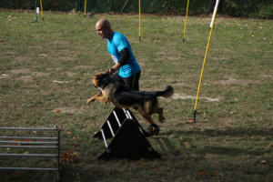 Fackelturnier 2018 - DSC09672