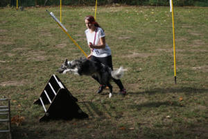 Fackelturnier 2018 - DSC09712