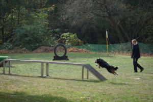 Fackelturnier 2018 - DSC09721