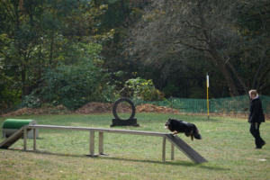 Fackelturnier 2018 - DSC09722