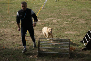 Fackelturnier 2018 - DSC09730