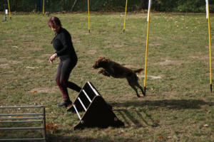 Fackelturnier 2018 - DSC09764