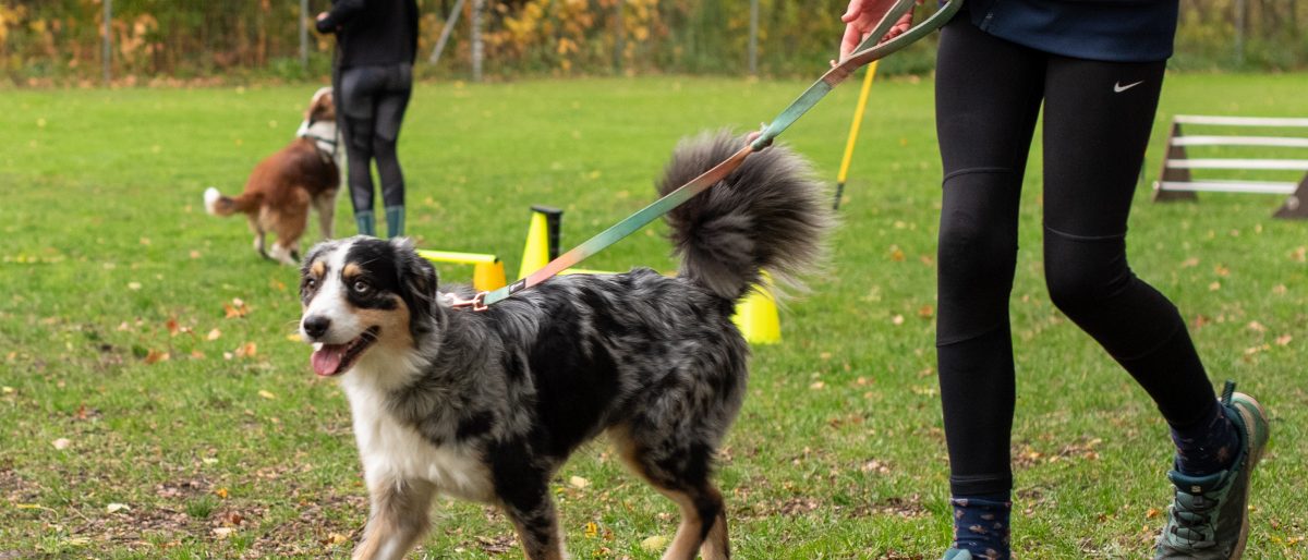 Permalink auf:Termine 2026
